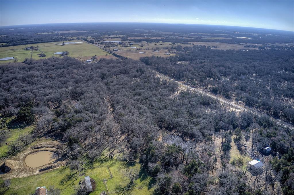 Charli Mo Ests - Land