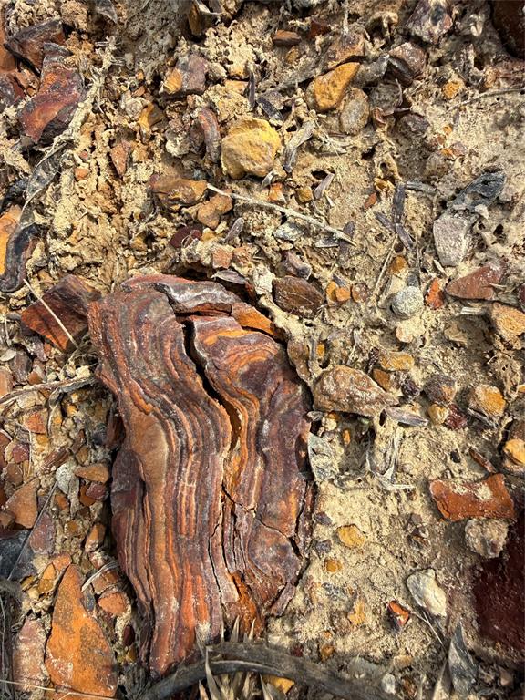 ABST: 467, SUR: L LANDERS - Land