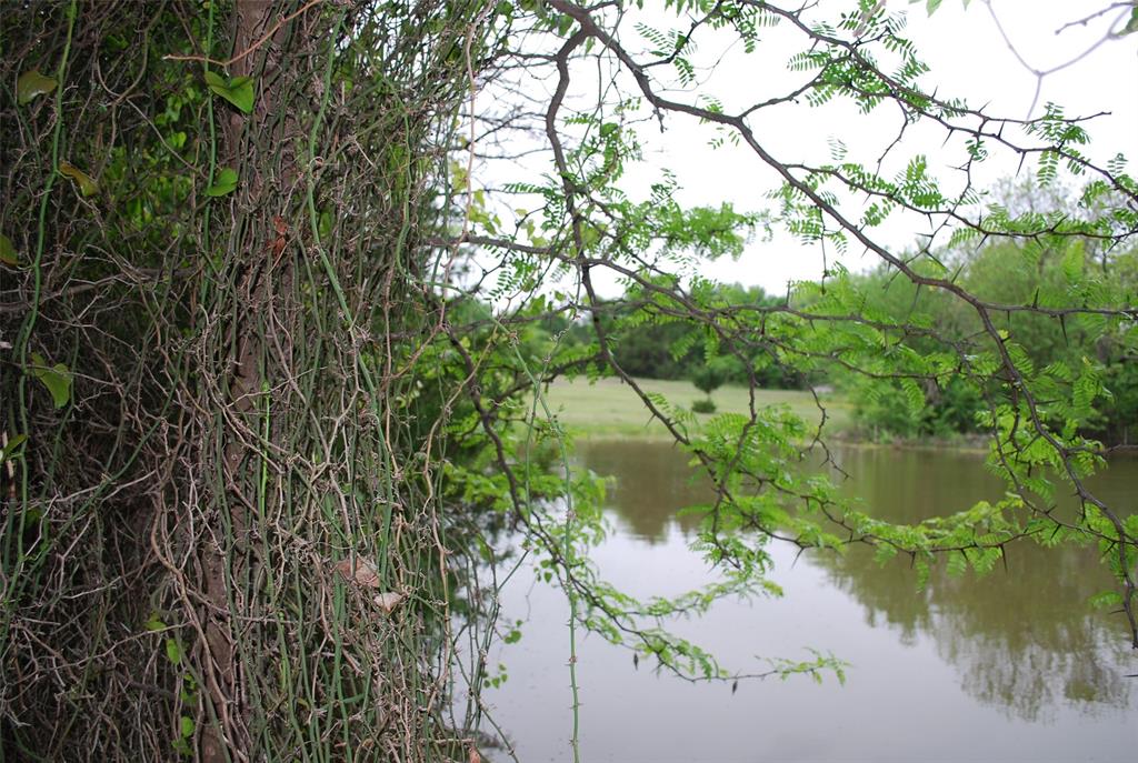 Le Ruisseau - Land