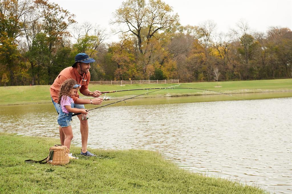 Trinity Falls 50' - Residential