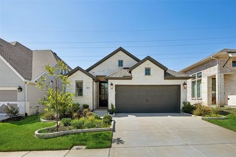 A home in Little Elm