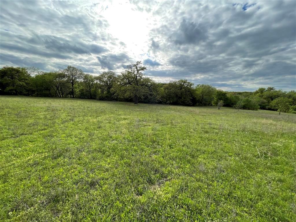 1037 Gonzollas Road