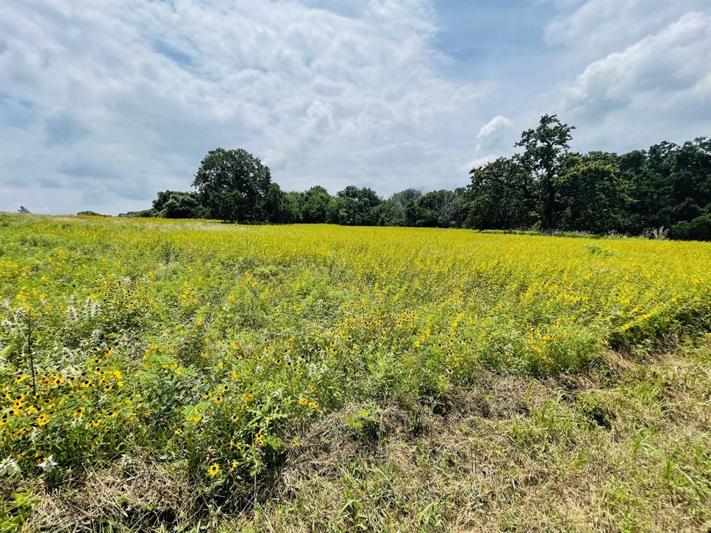 The Ranches At Valley - Land