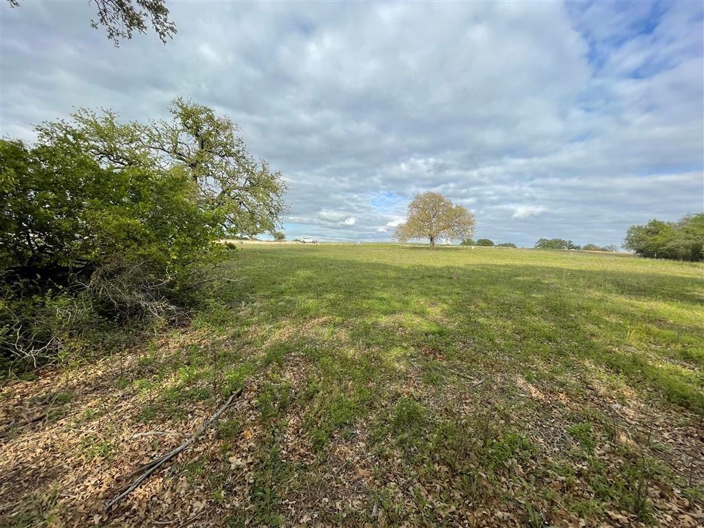 1037 Gonzollas Road