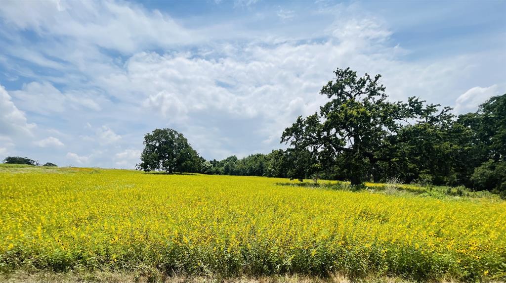 The Ranches At Valley - Land