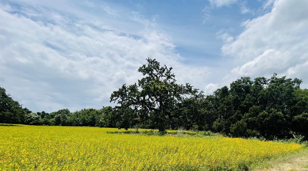 The Ranches At Valley - Land