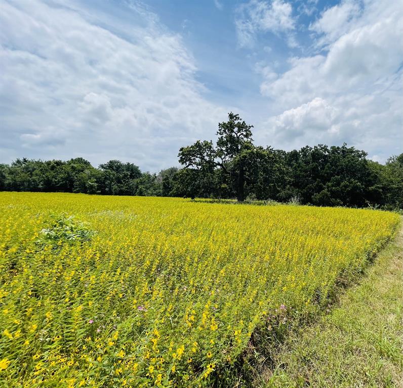 The Ranches At Valley - Land