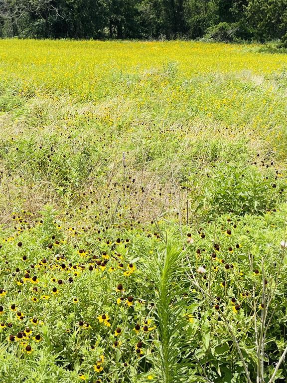 The Ranches At Valley - Land