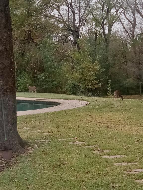 Corsicana - Residential