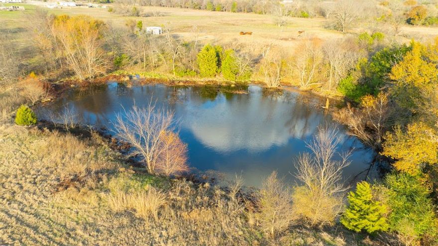 Selling Lots 112154 and 112155 together for a combined 12.82 acres in a peaceful, scenic area of Wills Point. The property includes an incomplete 3 bedroom, 2 bath home...sold AS IS...offering a great opportunity to finish out as a starter home, guest house, or investment structure. With flooring, finishes, and a driveway added, this home can be fully transformed to suit your needs.

The land features over 500 feet of road frontage, a beautiful pond, and ample space for agricultural use, livestock, or future development. Buyers will appreciate the serenity of the location while still being conveniently close to Interstate 20 and Highway 80, and approximately 50 miles east of Dallas.

A 911 address is already established: 1495 VZ CR 3908.
Lots must be sold together; however, subdivision is permitted after purchase.

Cross-listed under residential ...see MLS #21137762 for additional details.

Location 32.667802, -96.042980