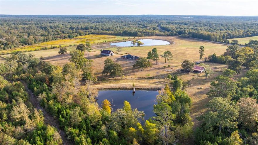 275 Acres of all the best that East Texas has to offer!! This ranch is located in the thriving Community of Mineola in Wood county, Tx. Within 90 Miles of the DFW area this is a perfect location to have your weekend ranch, or a great place to retire but still within easy driving distance to the dfw area. The property has a perfectly placed Ranch style home with a huge front patio, set back off the road on a high point that overlooks the front pasture and 5 acre stocked lake. Early mornings you can enjoy your coffee as the fog rolls through the bottom of the field and over the pond. This property is the perfect mix of pasture and wildlife area, for both the rancher and hunter at the same time. Multiple different fenced pastures with incredible grass allowing you to rotate cows, but also plenty of natural areas for hog and deer hunting, along with an area of flooded timber with the right amount of rain that offers top notch duck hunting! Great Deer and Hog hunting! There is a large shop for parking your tractors and toys. Attached to the shop is a tack room and area for your animals to get out of the weather. Off the side of the shop there is a set of working pens and chute to help work your cattle. 3 different ponds all in different pastures ensuring availability of water for your animals. A large creek that has water in it most of the year. Tucked in the woods is a hunters cabin with a wrap around porch for kids and grandkids to camp out and enjoy! Mineola has everything you want and need along with the small town East Texas charm. From the front gate of the ranch you are within 7 min of a walmart and 10min to downtown Mineola which includes, shopping, multiple restaurants, bars, and family entertainment. For golf, the Mineola Country club is within 10min and for hiking and biking, there is a beautiful 1300 acre nature perserve 10min down the road. You cannot ask for a better location for your ranch weekends with family and friends. Call for more Pics and videos.