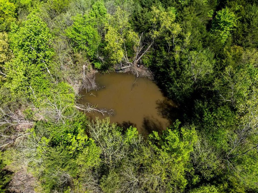 13.8 Acres of densely wooded unrestricted land and ideal for large acre homesite or multiple tracts in land development.  Buyer can carve out their own clearing and maintain a wooded buffer from neighbors.  There is a small pond on the Northeastern side of the property.  Water Line runs down PR 4521.  Electric available close by.