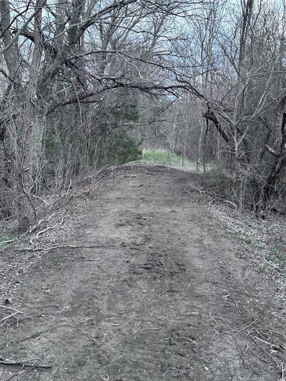 R M Williamson - Land