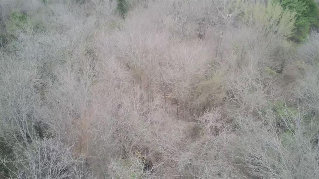 R M Williamson - Land