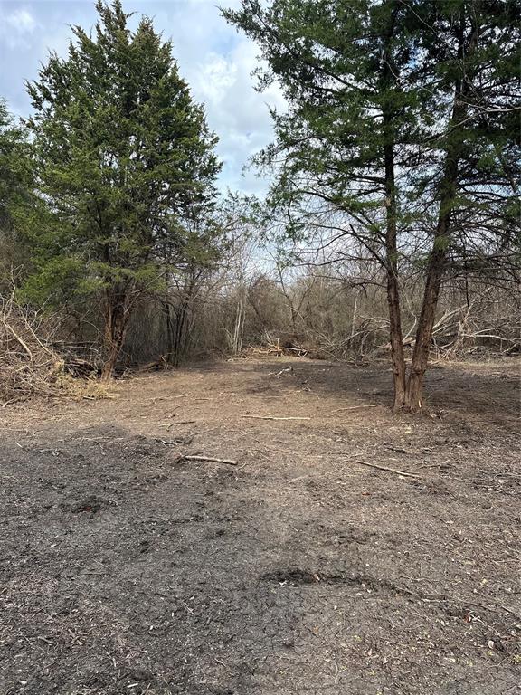 R M Williamson - Land