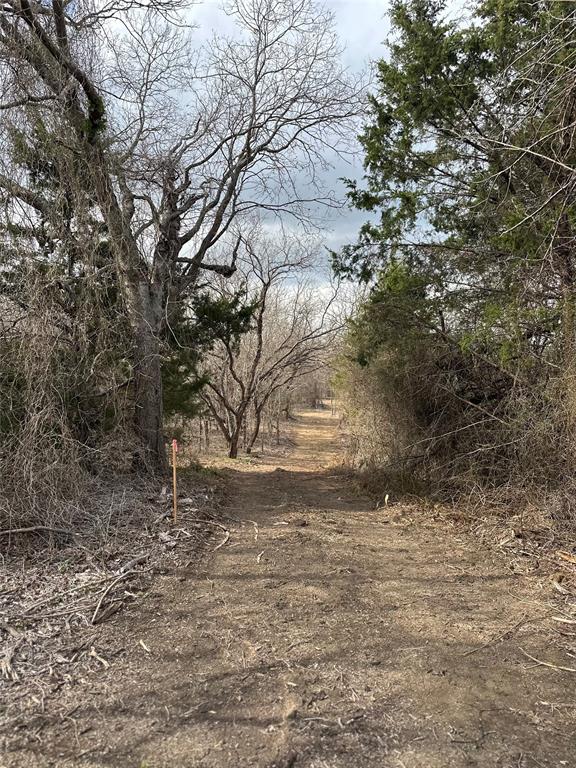 R M Williamson - Land