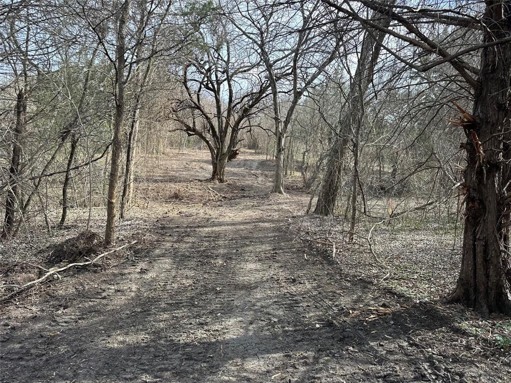 R M Williamson - Land