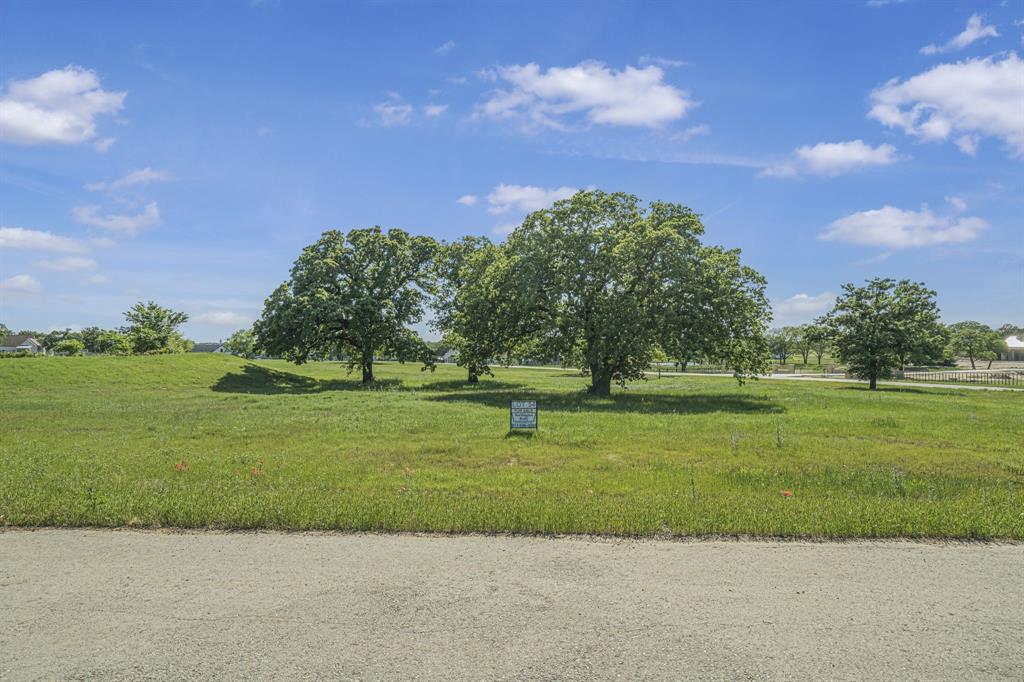 1051 Bluebonnet Ridge