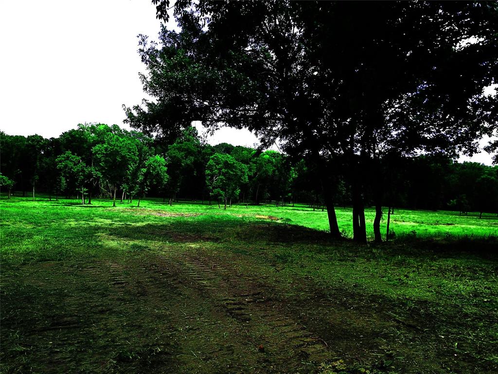 Wilburn Julius - Land