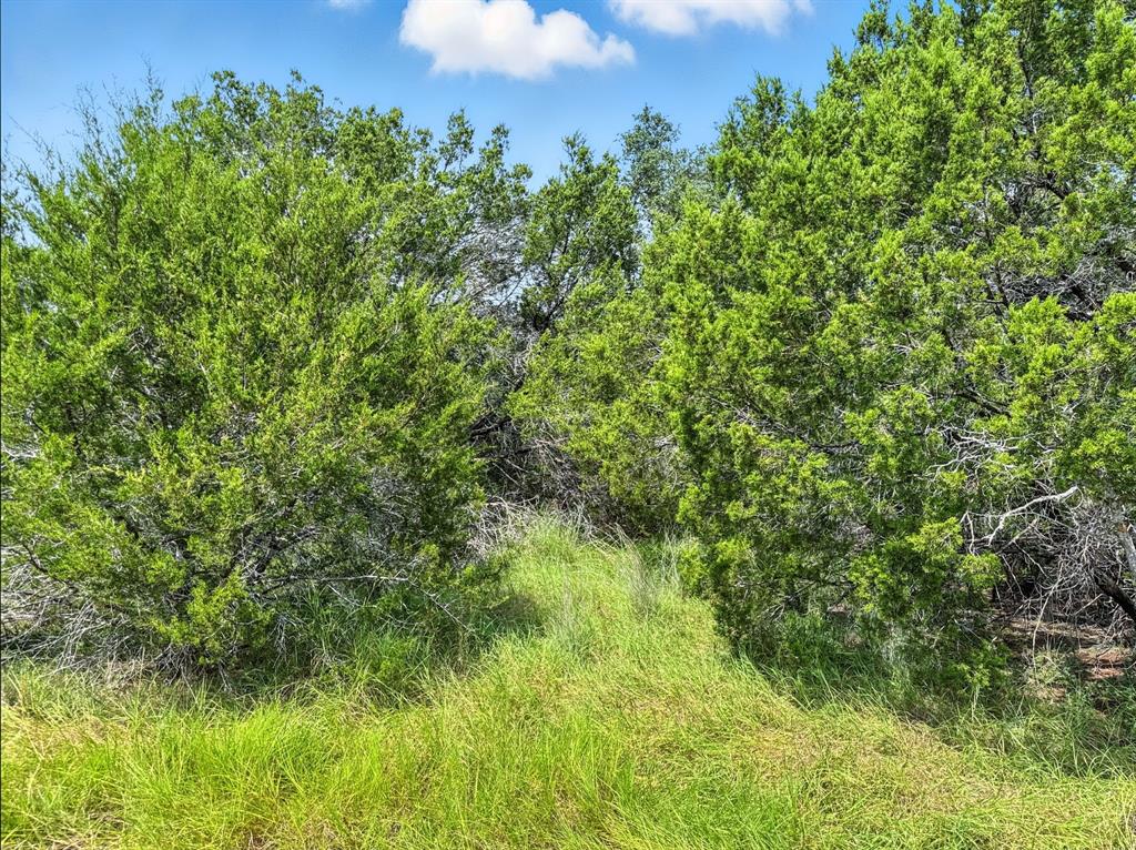 Rio Escondido - Land