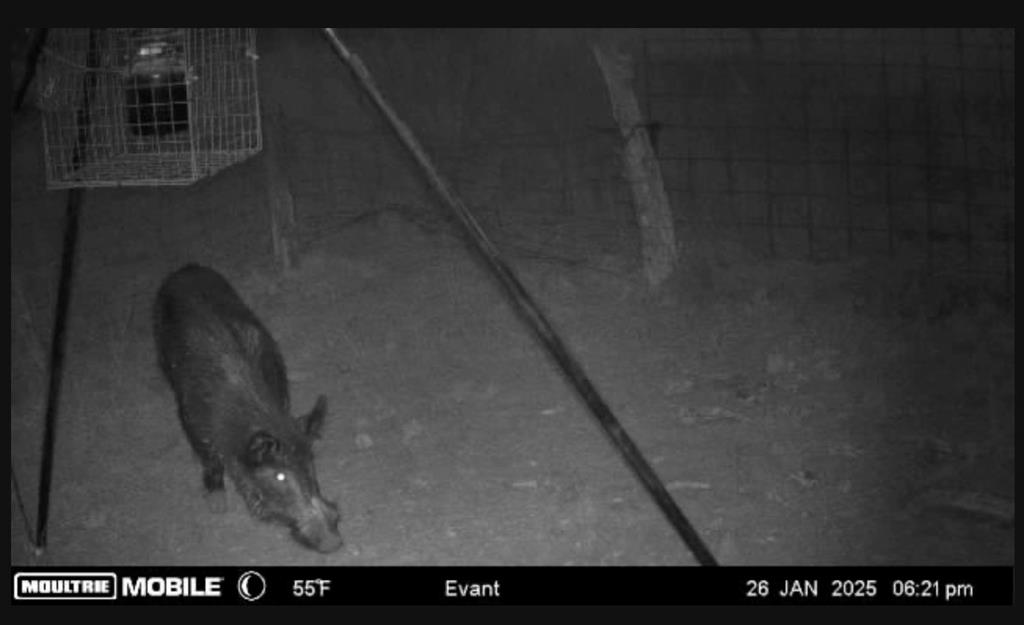 Rio Escondido - Land