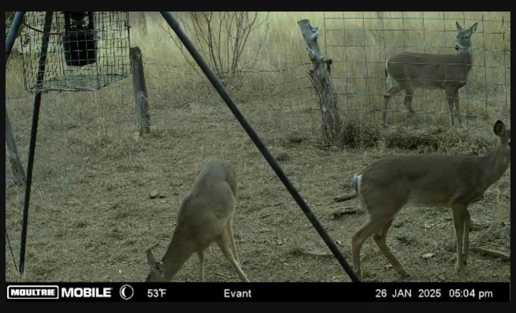 Rio Escondido - Land