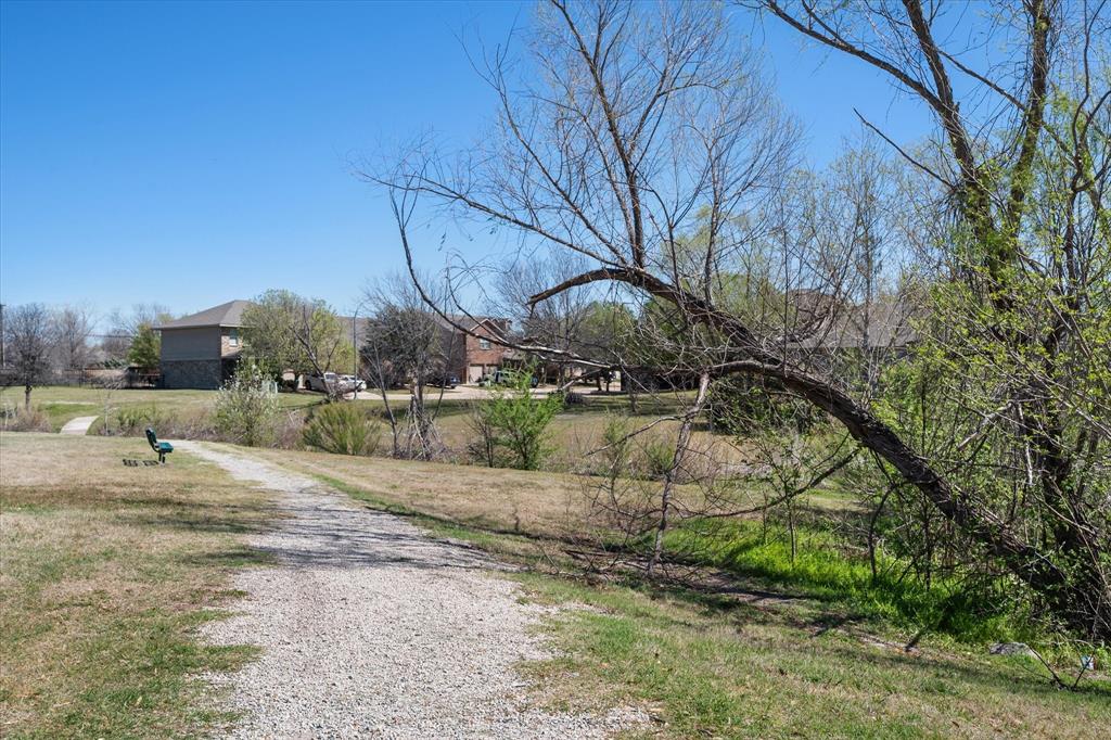 Palmilla Springs - Residential