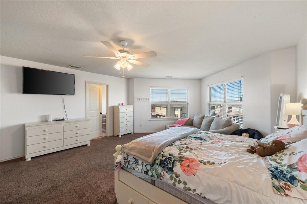 Palmilla Springs - Residential