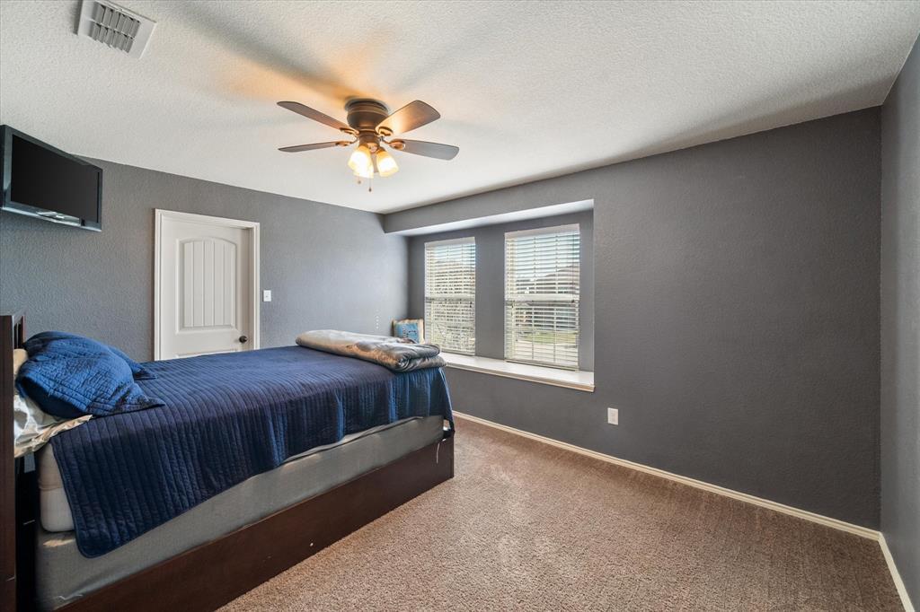 Palmilla Springs - Residential