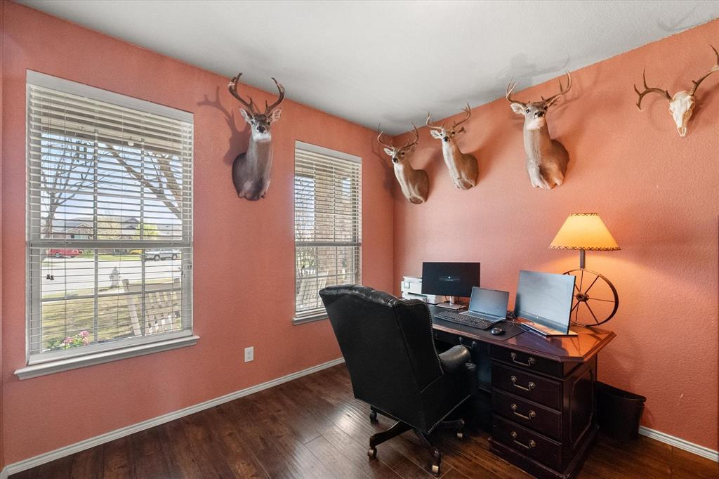 Palmilla Springs - Residential