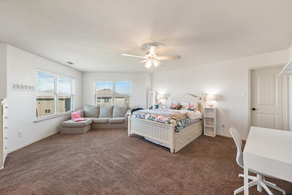 Palmilla Springs - Residential