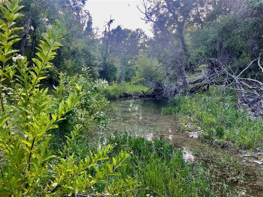 This secluded property offers excellent hunting and natural beauty. Mountain Creek runs through the property for approximately 0.9 miles, providing seasonal water source and scenic views. The land features rolling terrain with elevation changes, ideal for wildlife and outdoor recreation. A water well is already in place making this a great opportunity for a hunting retreat, weekend getaway, or future homestead.