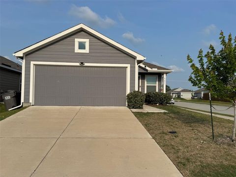 5651 Bristle Leaf Drive Princeton TX 75407