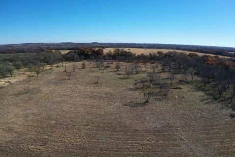 S92600-WOLFE PECANLANDS DV 26 - Land