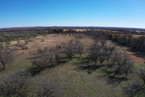 S92600-WOLFE PECANLANDS DV 26 - Land