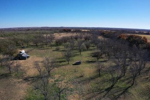 S92600-WOLFE PECANLANDS DV 26 - Land