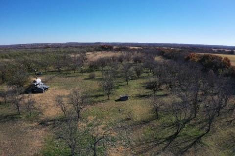 S92600-WOLFE PECANLANDS DV 26 - Land