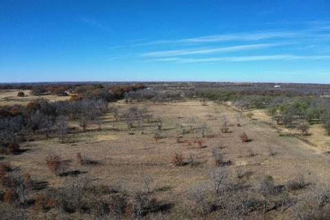 S92600-WOLFE PECANLANDS DV 26 - Land