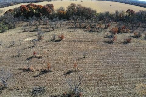 S92600-WOLFE PECANLANDS DV 26 - Land