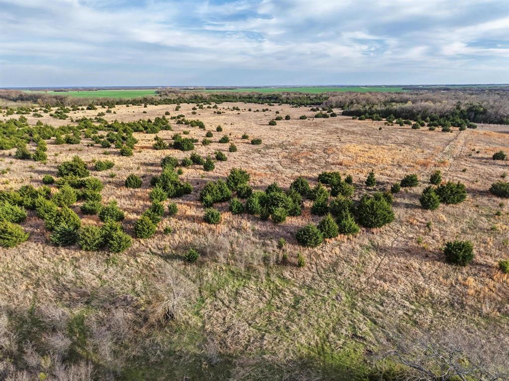 A0446 A C GRIMES, ACRES 255. - Land