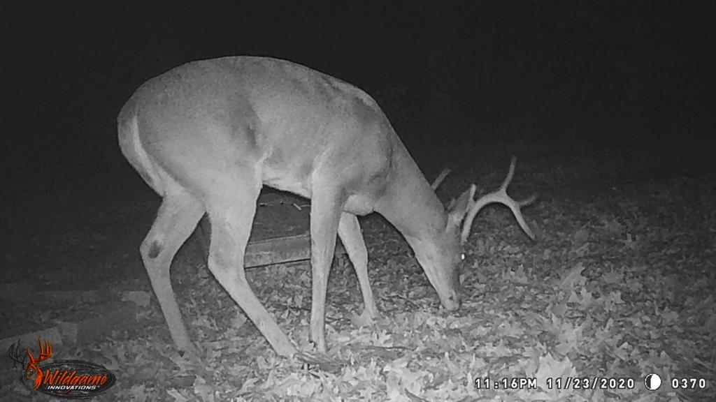 A0446 A C GRIMES, ACRES 255. - Land