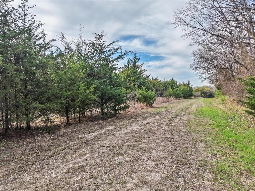 A0446 A C GRIMES, ACRES 255. - Land