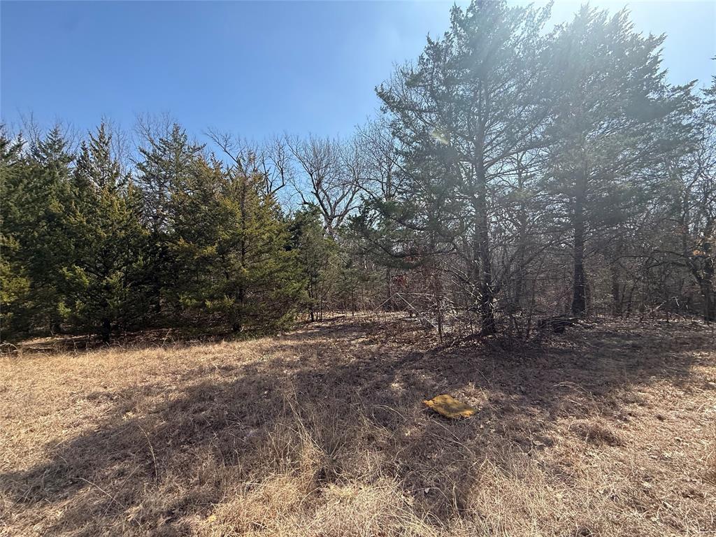 A0446 A C GRIMES, ACRES 255. - Land