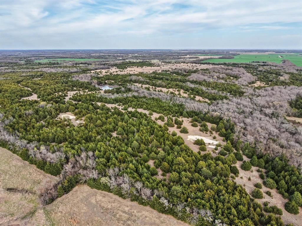 A0446 A C GRIMES, ACRES 255. - Land