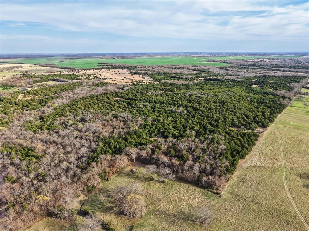 A0446 A C GRIMES, ACRES 255. - Land