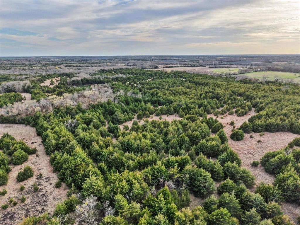 A0446 A C GRIMES, ACRES 255. - Land