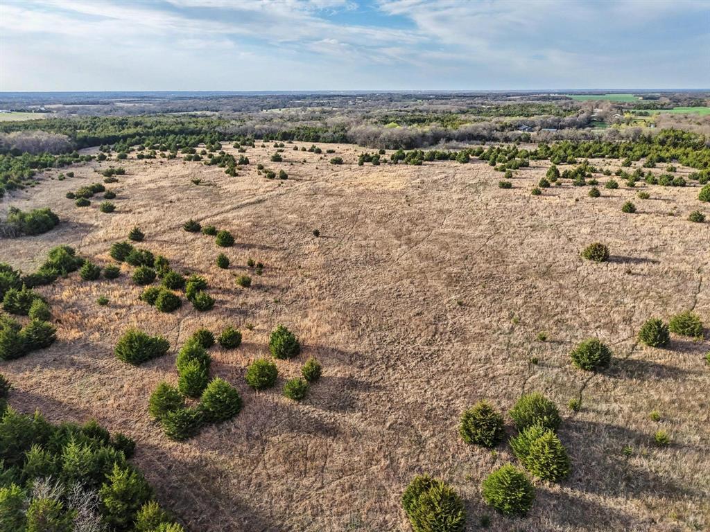 A0446 A C GRIMES, ACRES 255. - Land