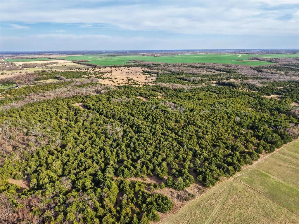 A0446 A C GRIMES, ACRES 255. - Land