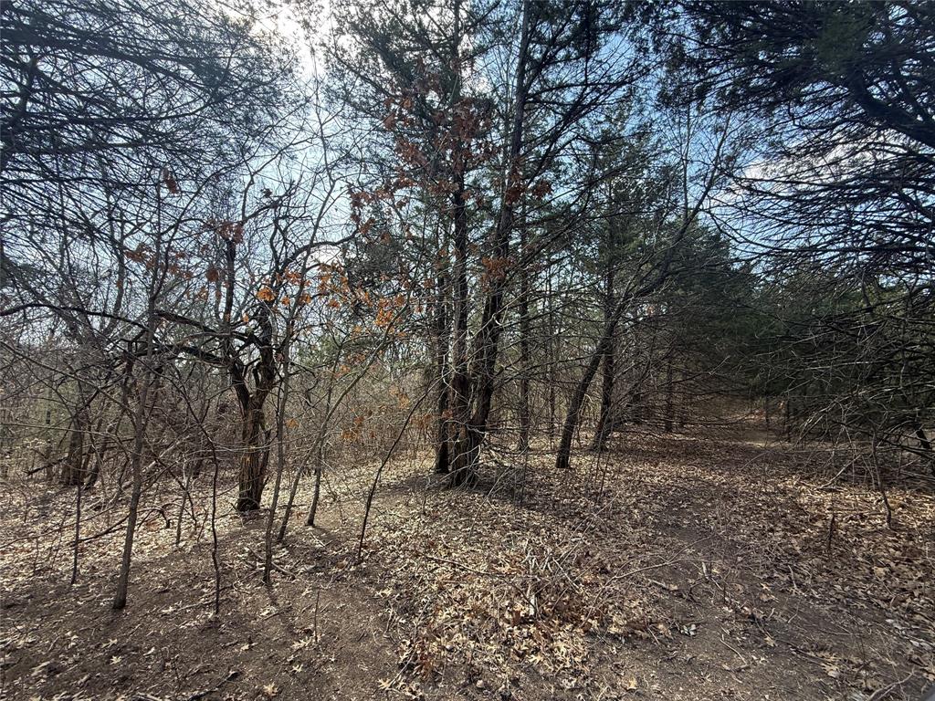 A0446 A C GRIMES, ACRES 255. - Land