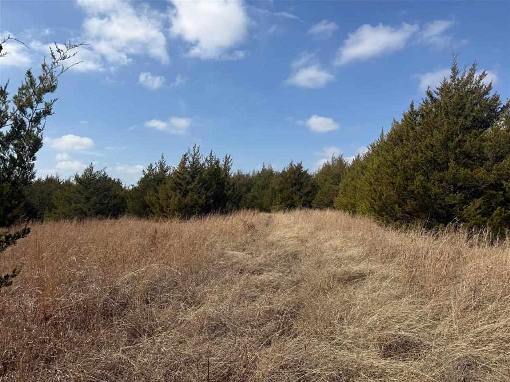 A0446 A C GRIMES, ACRES 255. - Land